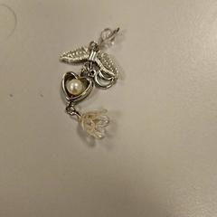 Earring, as reported by Vrije Universiteit Amsterdam using iLost