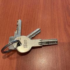 Kľúč 3 zilver kleurig aan 1 bos., ako bolo nahlásené Hotel Theater FIGI pomocou iLost