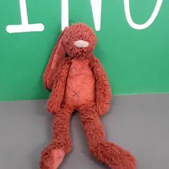 كنوفل، كما تم الإبلاغ عنه بواسطة Diergaarde Blijdorp عبر iLost