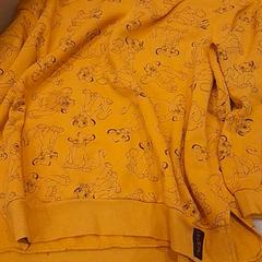 스웨터 Geel, iLost를 사용하여 Van der Valk Hotel Schiphol에 보고됨