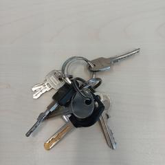 Sleutelbos, zgłoszono przez Arriva Limburg Zuid przy użyciu iLost