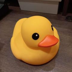 Badeend, amint azt Van der Valk Hotel Gorinchem az iLost segítségével jelentette.