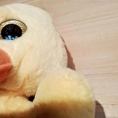 Toy, as reported by Beekse Bergen Resorts en Hotel using iLost