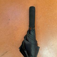 Regenschirm noir, gemeldet von TCL über iLost