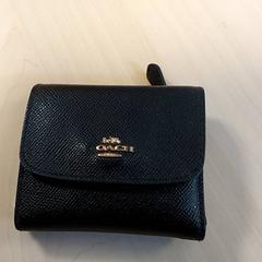 財布 - Zambrelli がiLostで Centraal magazijn によって報告されました