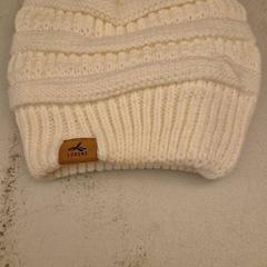 Pet Wit, iLost를 사용하여 Mauritshuis Den Haag에 보고됨