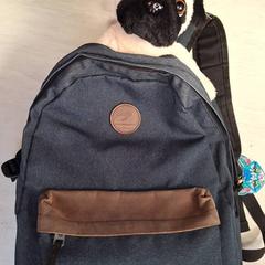 Rugtas, zgłoszono przez Qbuzz DMG przy użyciu iLost