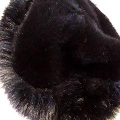 Beanie, som rapportert av EBS Tramplein ved bruk av iLost