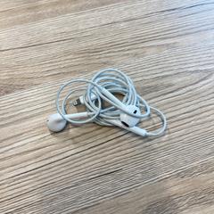 Oortjes, a été signalé par Pathé Delft utilisant iLost