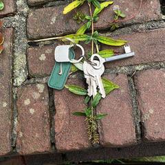 Sleutelbos, ako bolo nahlásené iLost