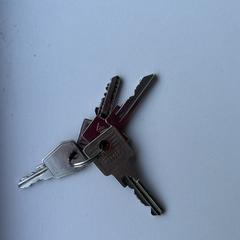 Sleutels a été signalé sur iLost