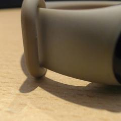 Fitbit beige, como reportado por Walibi Holland utilizando o iLost