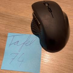 Ratolí, segons ha informat Van der Valk Hotel Utrecht mitjançant iLost