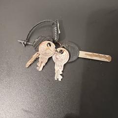 Keys, gerapporteerd met iLost