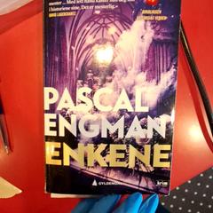 Llibre Pascal engman enkene, segons ha informat Fjord Line – MS Stavangerfjord / Bergensfjord mitjançant iLost