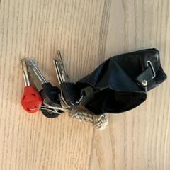 Bunch of keys, as reported to iLost