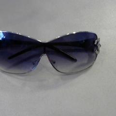 Sonnenbrille Donker Blauw, gemeldet von Walibi Holland über iLost