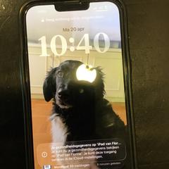 I phone, come riportato da U-OV Utrecht utilizzando iLost