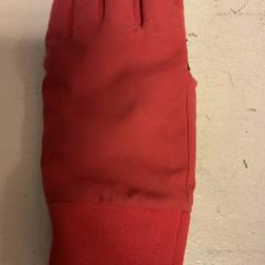 Hansker Roze, som rapportert av Artis ved bruk av iLost