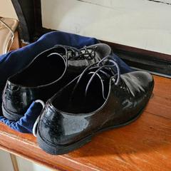 Shoe, as reported by Groepsaccomodatie Kasteel de Berckt using iLost