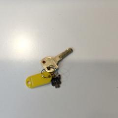 Klíč, jak nahlášeno Gemeente Weert pomocí iLost