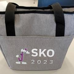 İLost kullanarak Centraal magazijn tarafından bildirildiği gibi Çanta