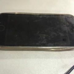 iPhone, as reported by Walibi Holland using iLost