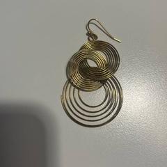 Náušnice Goud, jak nahlášeno Gemeente Meierijstad pomocí iLost