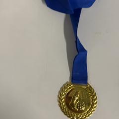 ميدالية، كما تم الإبلاغ عنه بواسطة Silver Sands Beach عبر iLost