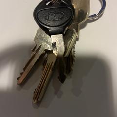 İLost kullanarak Pathé Haarlem tarafından bildirildiği gibi Anahtar