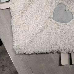 ブランケット がiLostで Arriva Friesland / Groningen によって報告されました