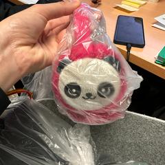 Ohrenschützer, gemeldet von The Dominican über iLost