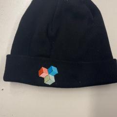 Muts Zwart, zoals gemeld door Pathé Schouwburgplein met iLost