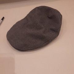 Pet, segons ha informat Van der Valk Hotel Schiphol mitjançant iLost