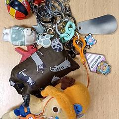 Nøkkelring Diverse sleutelhangers, som rapportert av Qbuzz GD Groningen Peizerweg ved bruk av iLost