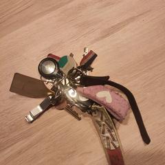 Sleutels / sleutelbos, gerapporteerd met iLost