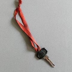 Clé, a été signalé par Centraal magazijn utilisant iLost