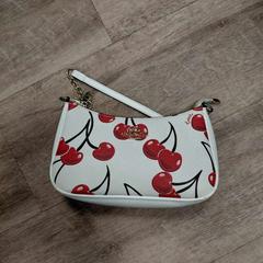 Bag Greve, som rapportert av EBS OV Poeldijk ved bruk av iLost