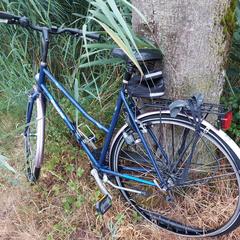 Blauwe fiets, Gazelle Balia an iLost gemeldet