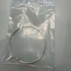 Orecchino Earring, come riportato da TU/e - Receptie MetaForum utilizzando iLost