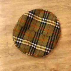 Bonnet, a été signalé par Arriva Limburg Noord utilisant iLost