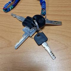 Kľúčenka, ako bolo nahlásené Gemeente Roermond pomocou iLost