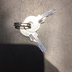 İLost kullanarak Universiteit Gent - Faculteitsbibliotheek LW tarafından bildirildiği gibi Sleuteltje Metaal