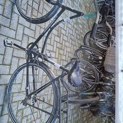 Bicicleta feminina, segundo informou Gemeente Roermond usando iLost