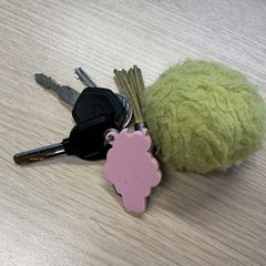 İLost kullanarak Gemeente Arnhem tarafından bildirildiği gibi Anahtar