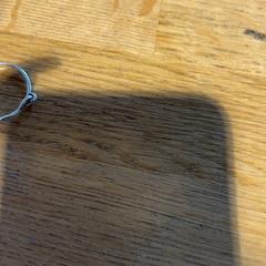 Dzwonić Zilver, zgłoszono przez Designer Outlet Roermond przy użyciu iLost