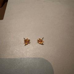 Earrings Goude bloemetjes, as reported by Van der Valk Hotel Deventer using iLost