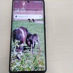 Telefon redmi, amint azt Arriva Limburg Zuid az iLost segítségével jelentette.