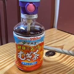 ストロー付麦茶 5/18 12:00 ショールームソファ　バイキンマンのストローつき, como reportado por IKEA仙台 utilizando o iLost