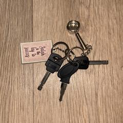 Sleutels an iLost gemeldet